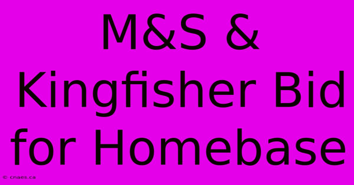 M&S & Kingfisher Bid For Homebase