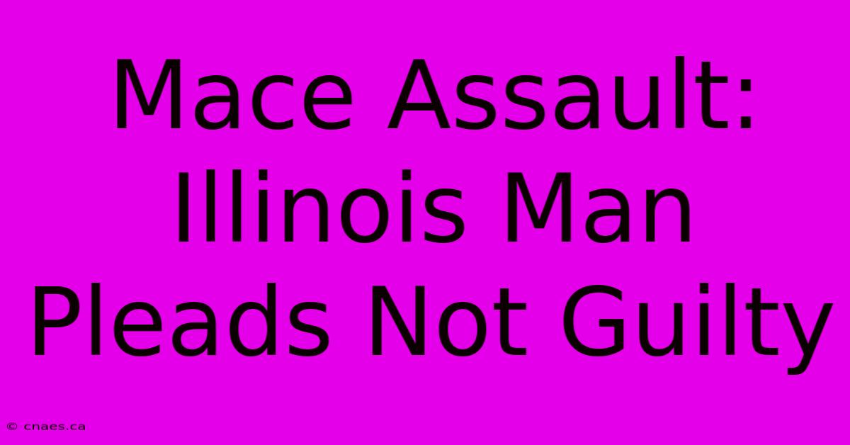 Mace Assault: Illinois Man Pleads Not Guilty