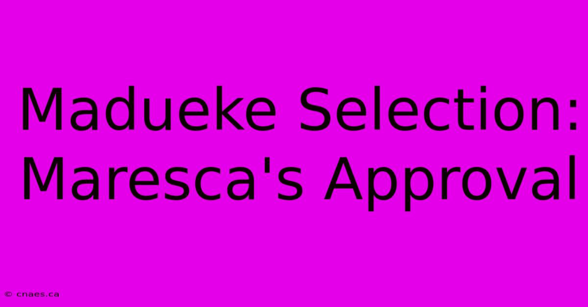 Madueke Selection: Maresca's Approval