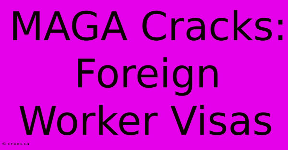 MAGA Cracks: Foreign Worker Visas