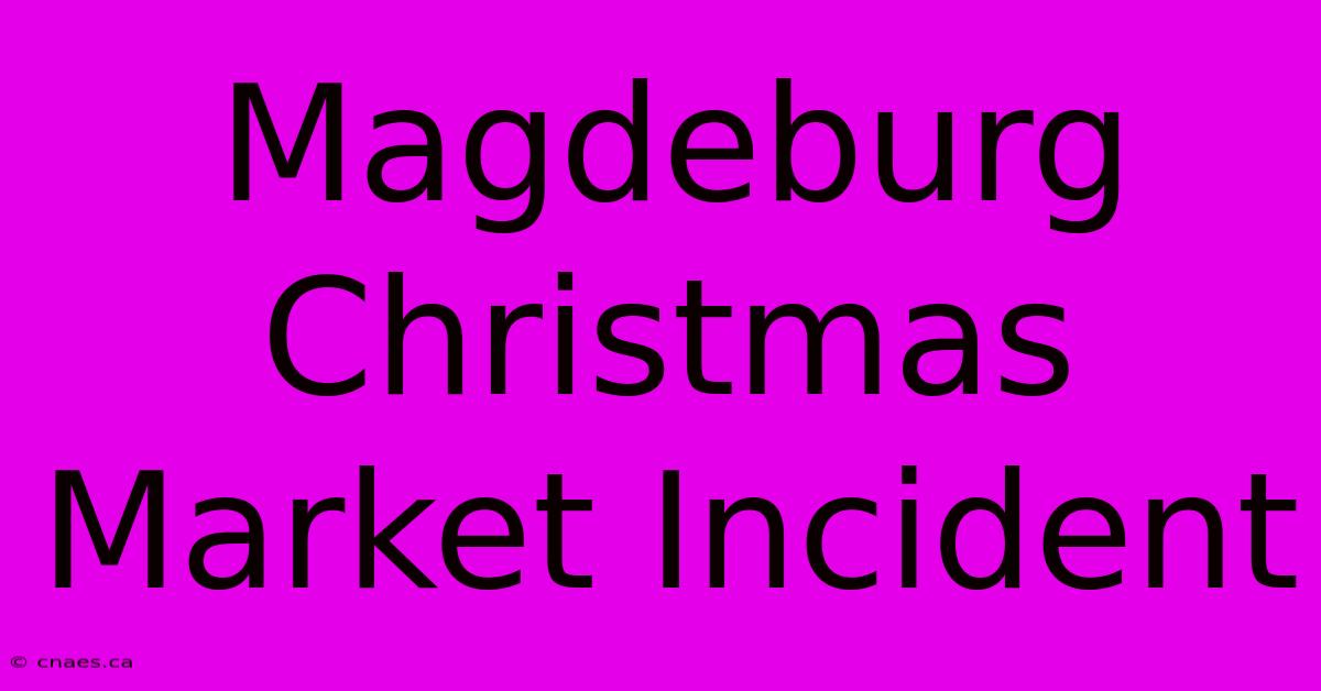 Magdeburg Christmas Market Incident