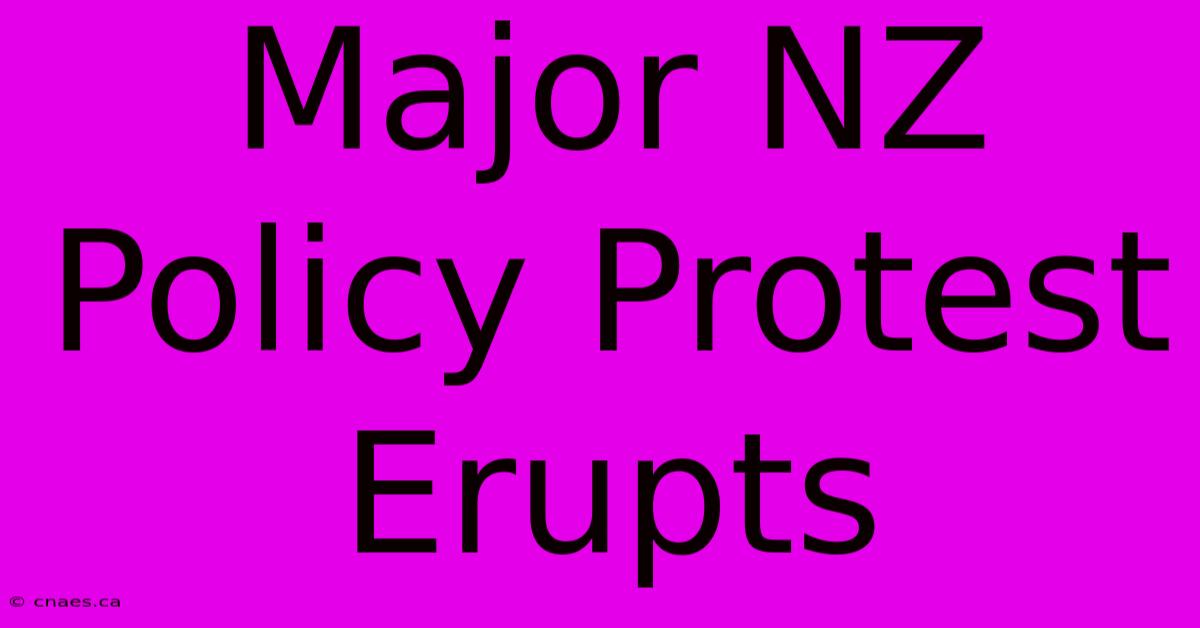 Major NZ Policy Protest Erupts