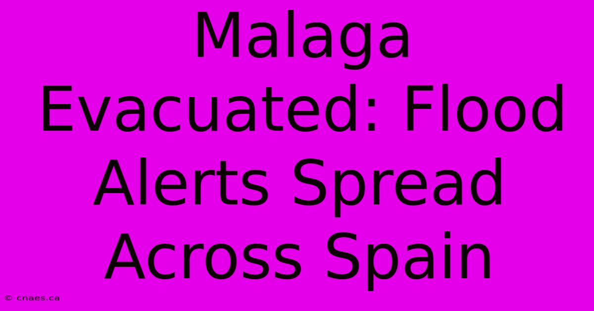 Malaga Evacuated: Flood Alerts Spread Across Spain