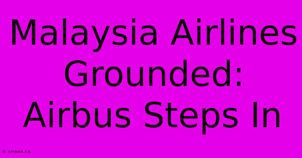 Malaysia Airlines Grounded: Airbus Steps In