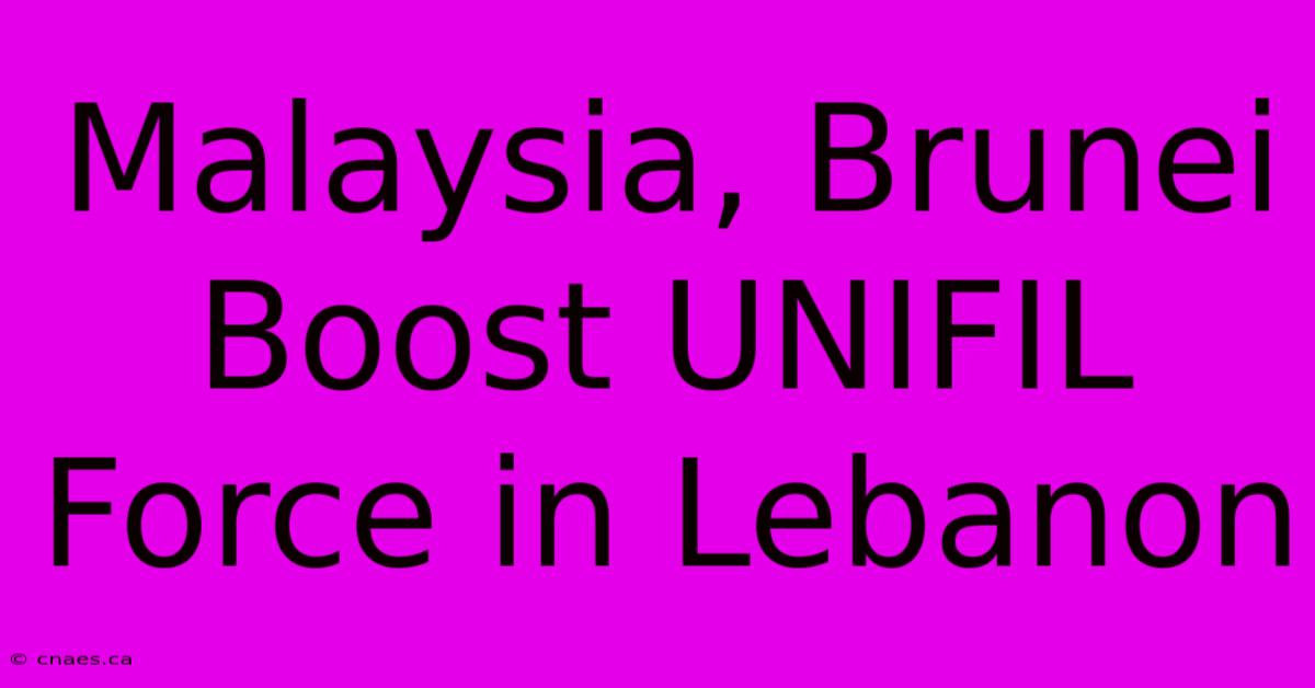 Malaysia, Brunei Boost UNIFIL Force In Lebanon