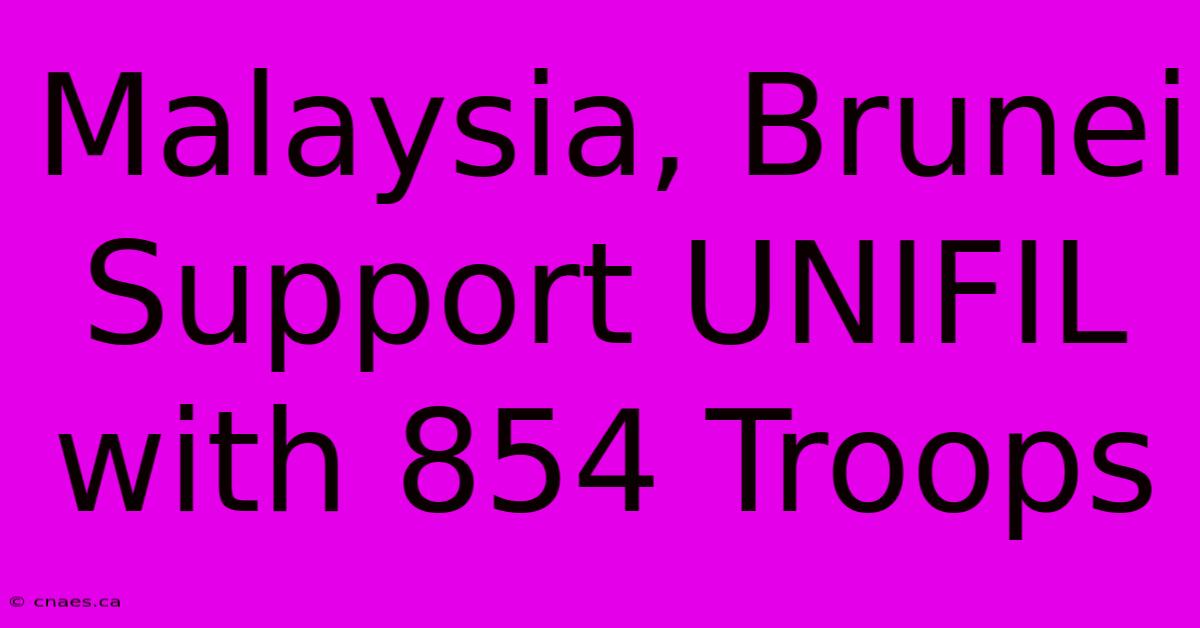 Malaysia, Brunei Support UNIFIL With 854 Troops 