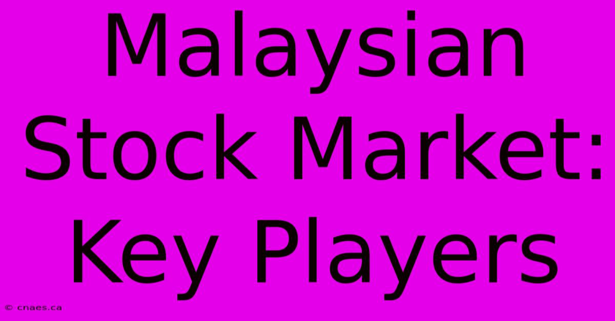 Malaysian Stock Market: Key Players