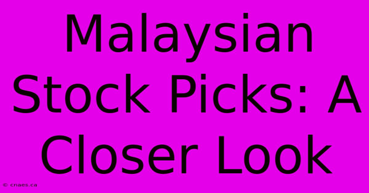 Malaysian Stock Picks: A Closer Look