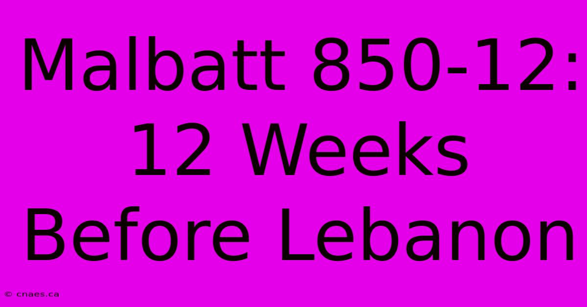 Malbatt 850-12: 12 Weeks Before Lebanon