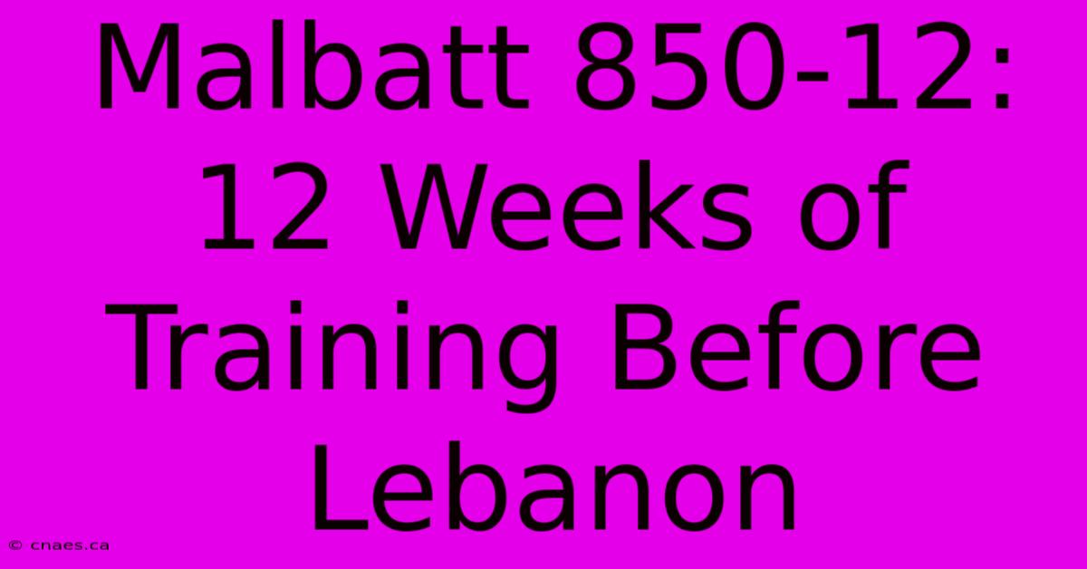 Malbatt 850-12: 12 Weeks Of Training Before Lebanon