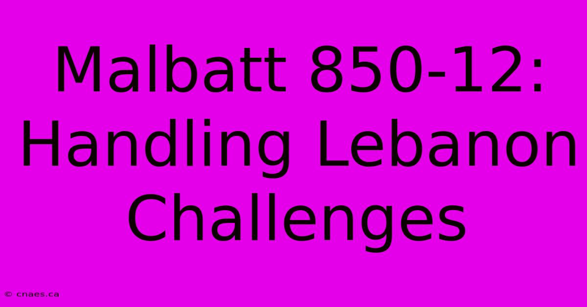 Malbatt 850-12: Handling Lebanon Challenges