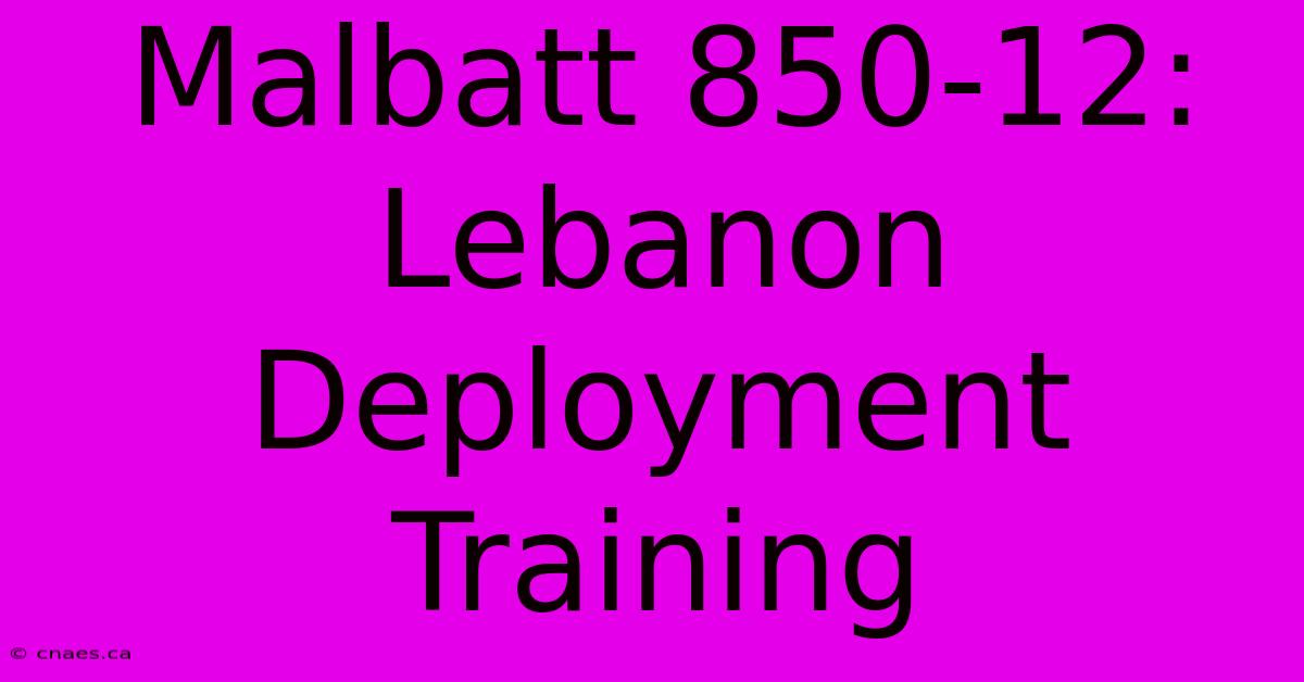 Malbatt 850-12: Lebanon Deployment Training 