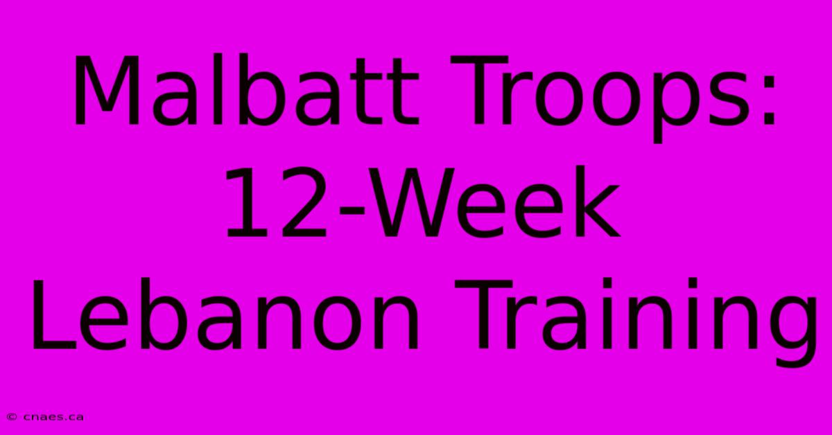 Malbatt Troops: 12-Week Lebanon Training