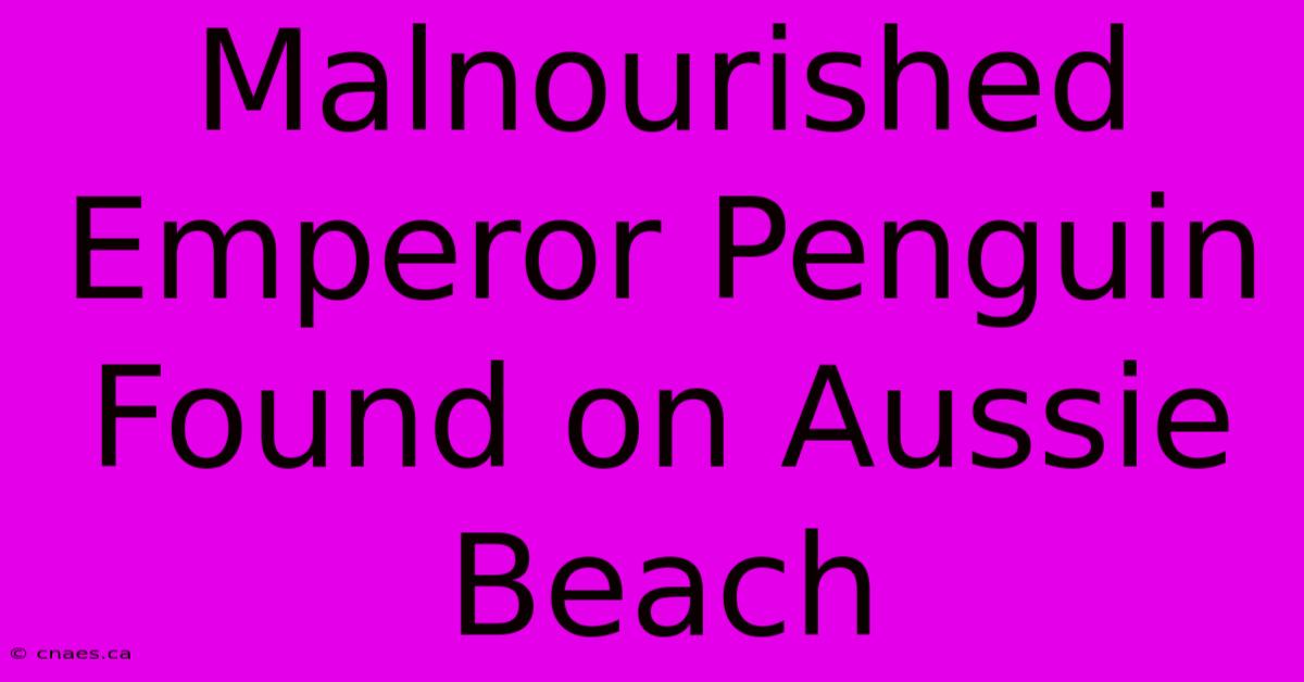 Malnourished Emperor Penguin Found On Aussie Beach