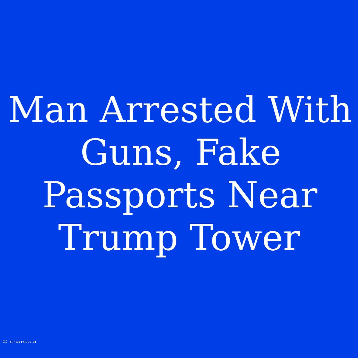 Man Arrested With Guns, Fake Passports Near Trump Tower