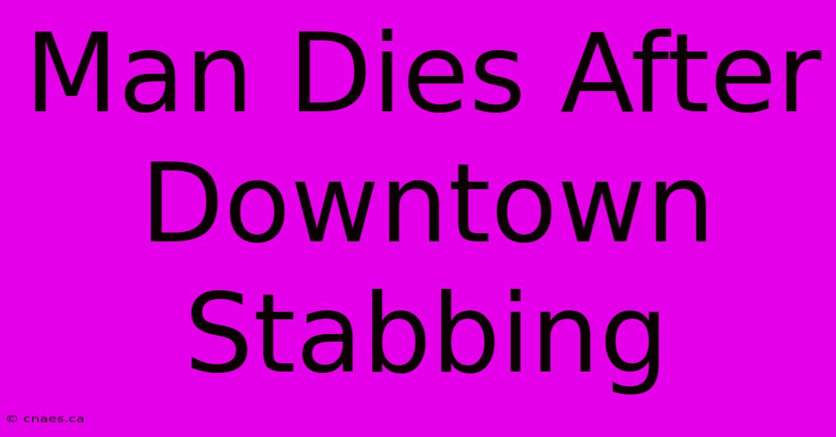 Man Dies After Downtown Stabbing