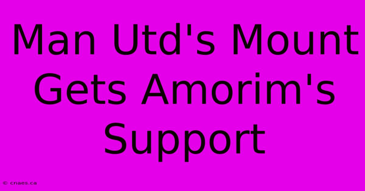 Man Utd's Mount Gets Amorim's Support