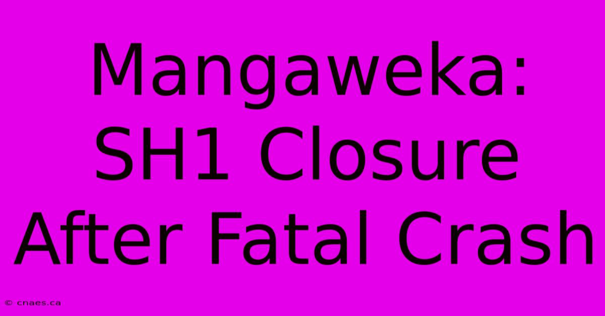 Mangaweka: SH1 Closure After Fatal Crash