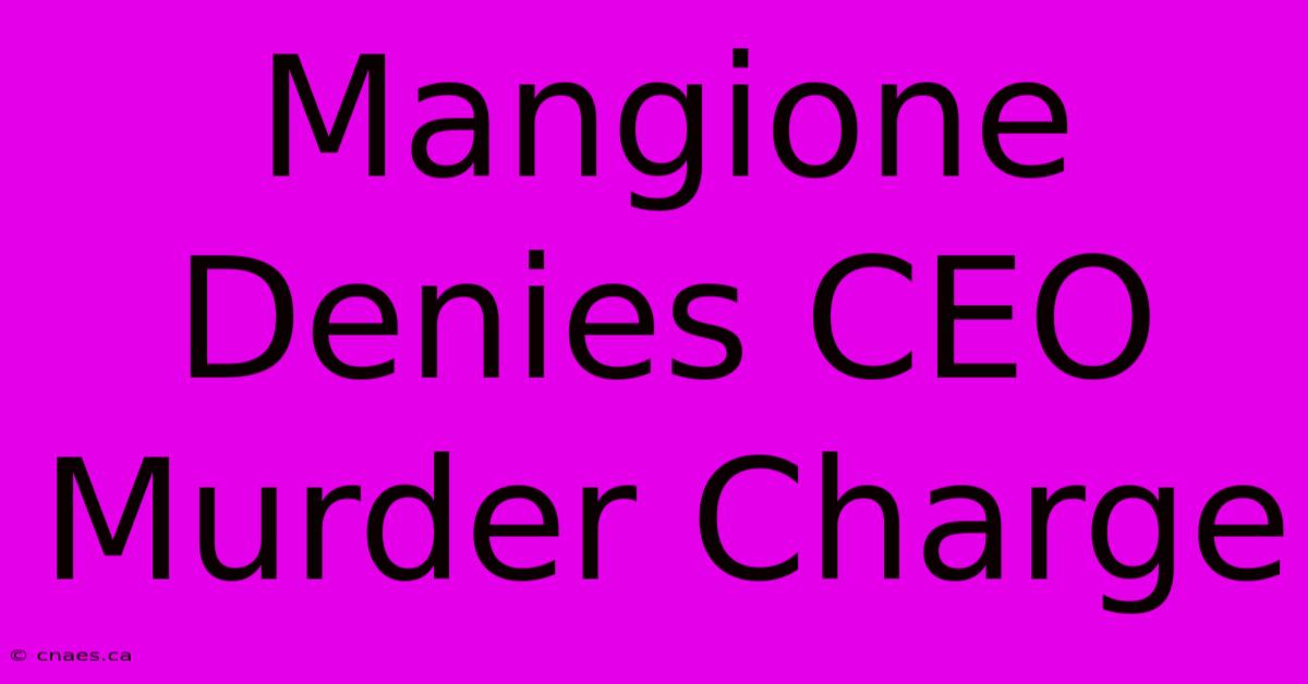 Mangione Denies CEO Murder Charge