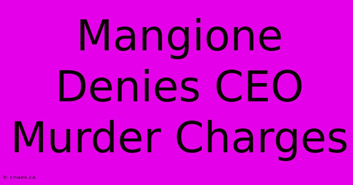 Mangione Denies CEO Murder Charges