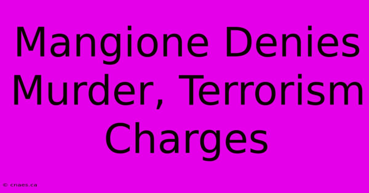 Mangione Denies Murder, Terrorism Charges