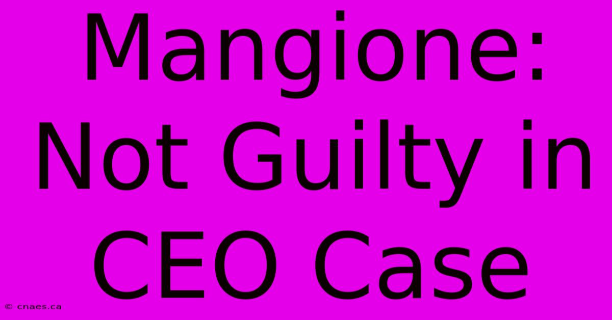 Mangione: Not Guilty In CEO Case