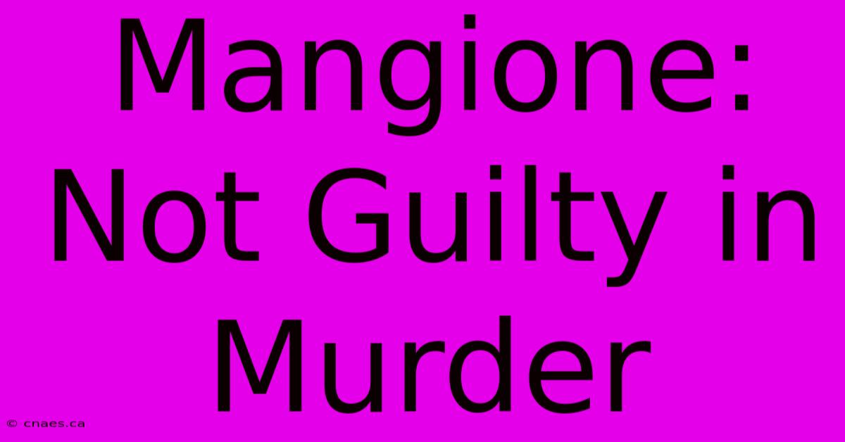 Mangione: Not Guilty In Murder