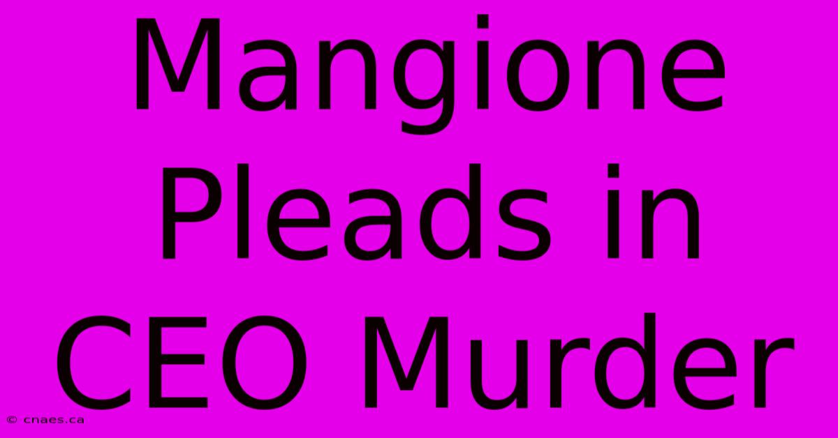 Mangione Pleads In CEO Murder