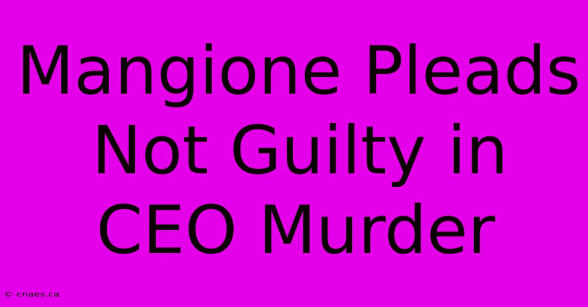 Mangione Pleads Not Guilty In CEO Murder