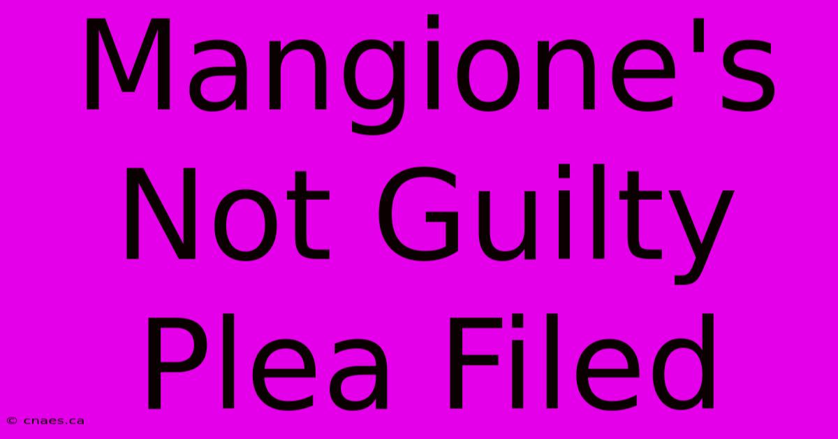 Mangione's Not Guilty Plea Filed