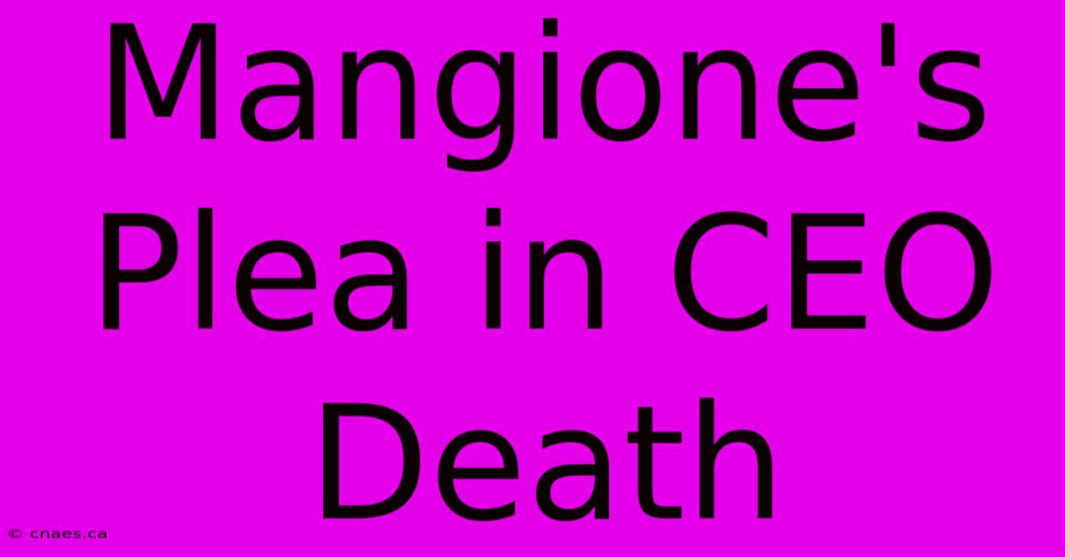 Mangione's Plea In CEO Death