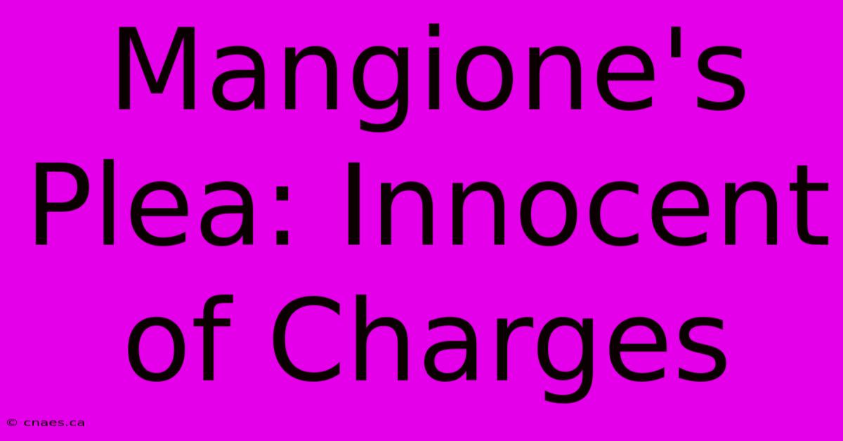 Mangione's Plea: Innocent Of Charges