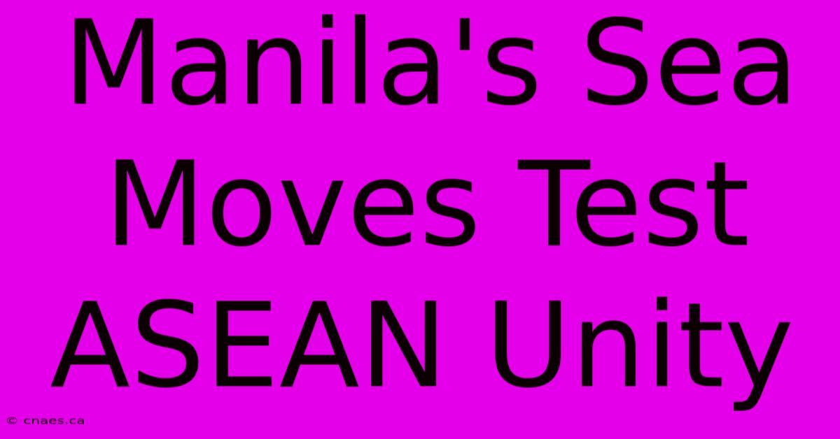 Manila's Sea Moves Test ASEAN Unity