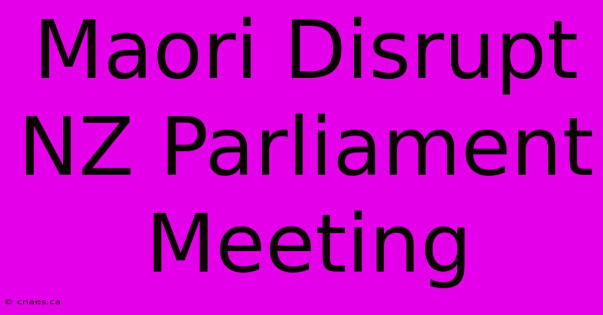 Maori Disrupt NZ Parliament Meeting