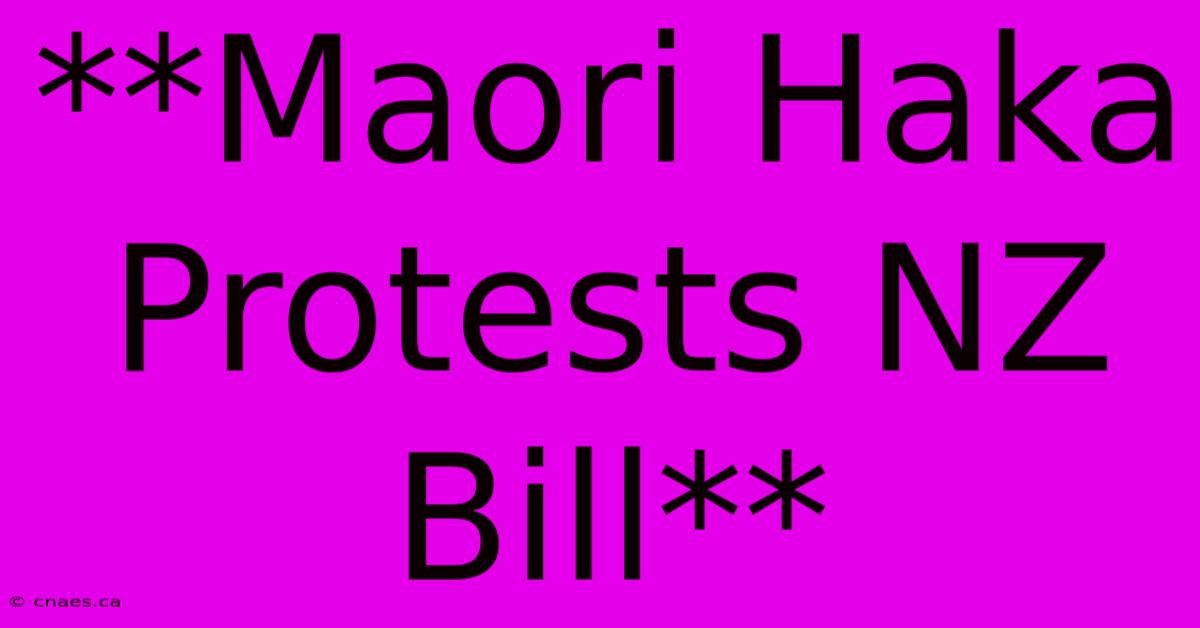 **Maori Haka Protests NZ Bill**