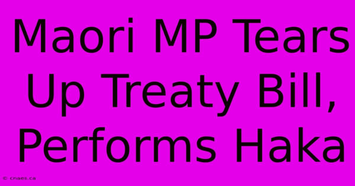 Maori MP Tears Up Treaty Bill, Performs Haka