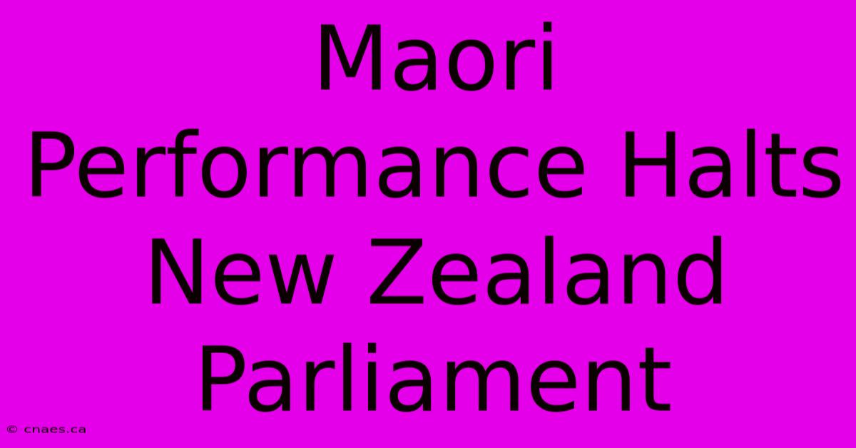 Maori Performance Halts New Zealand Parliament