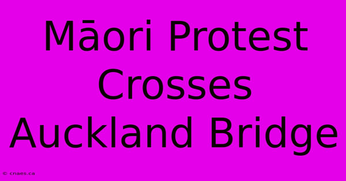 Māori Protest Crosses Auckland Bridge