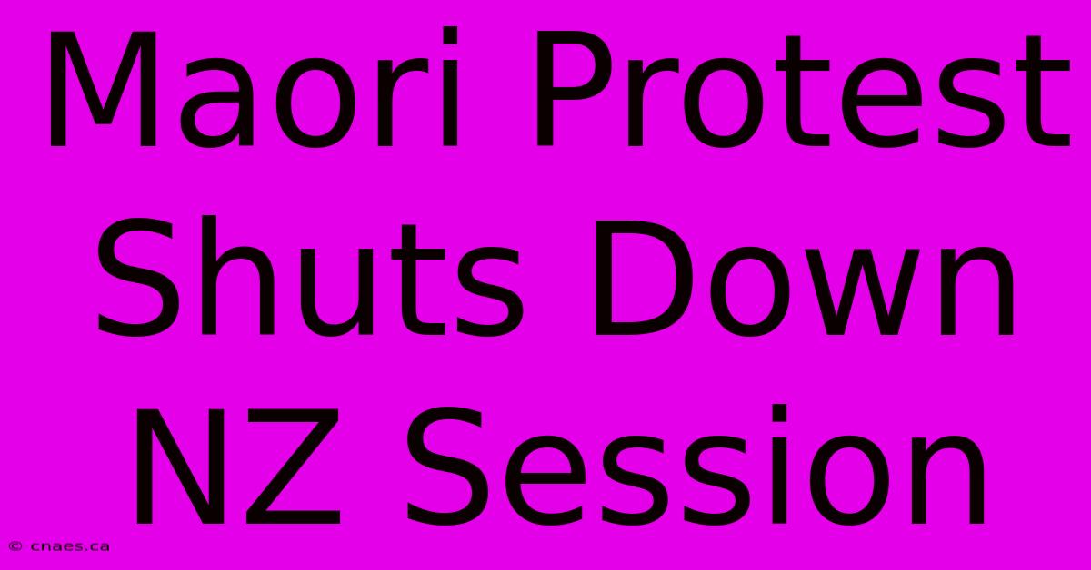 Maori Protest Shuts Down NZ Session