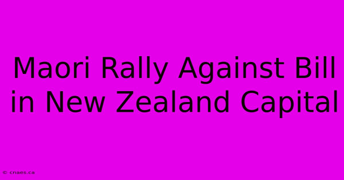 Maori Rally Against Bill In New Zealand Capital