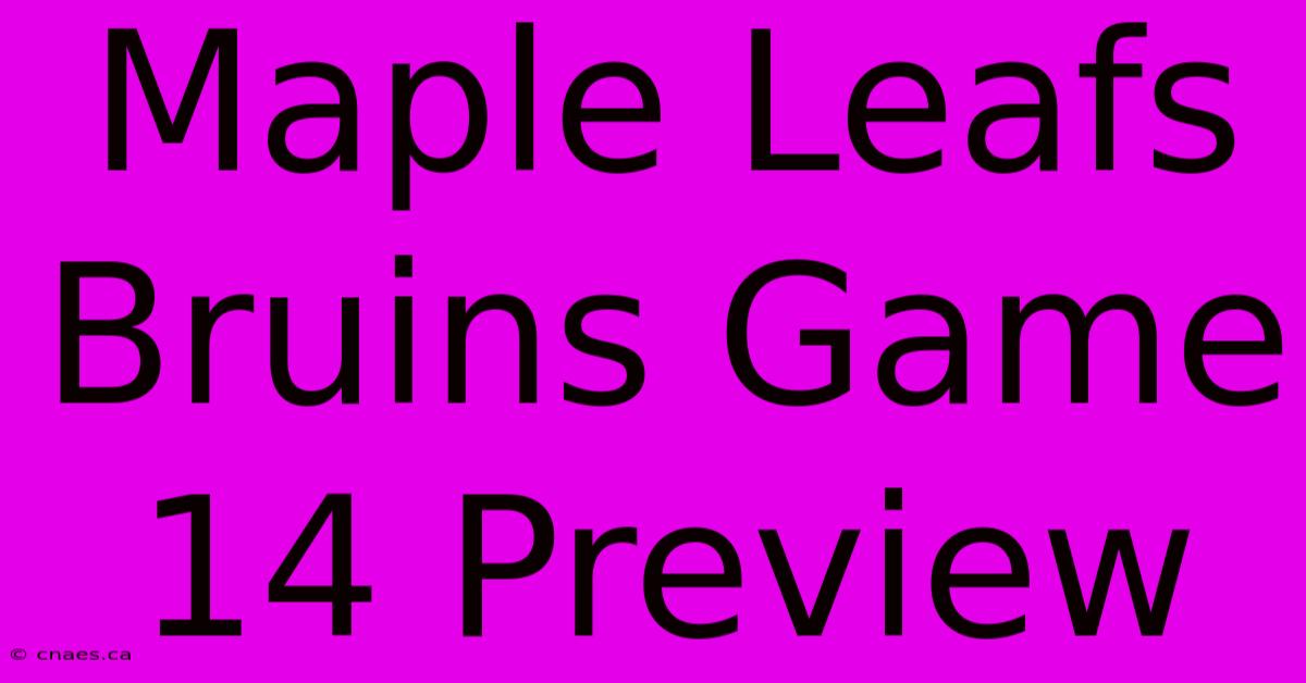 Maple Leafs Bruins Game 14 Preview