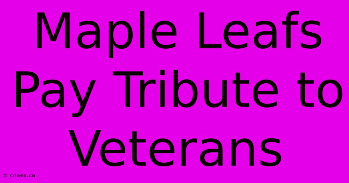 Maple Leafs Pay Tribute To Veterans 