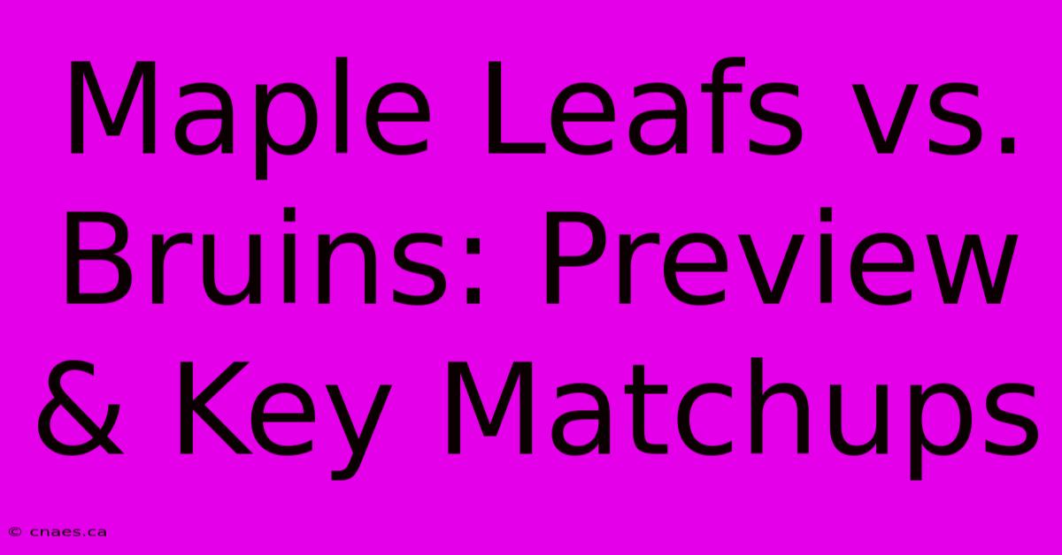 Maple Leafs Vs. Bruins: Preview & Key Matchups