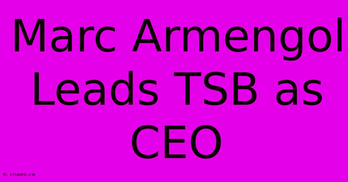 Marc Armengol Leads TSB As CEO