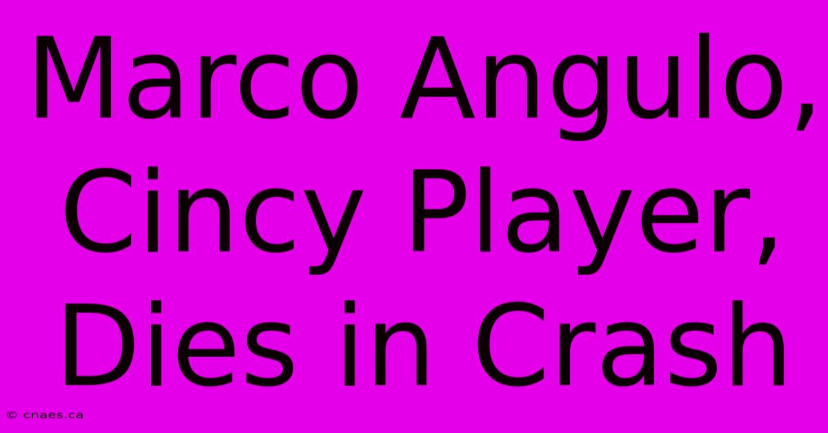 Marco Angulo, Cincy Player, Dies In Crash