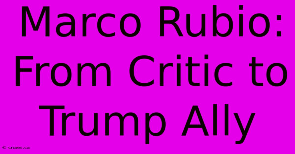 Marco Rubio: From Critic To Trump Ally