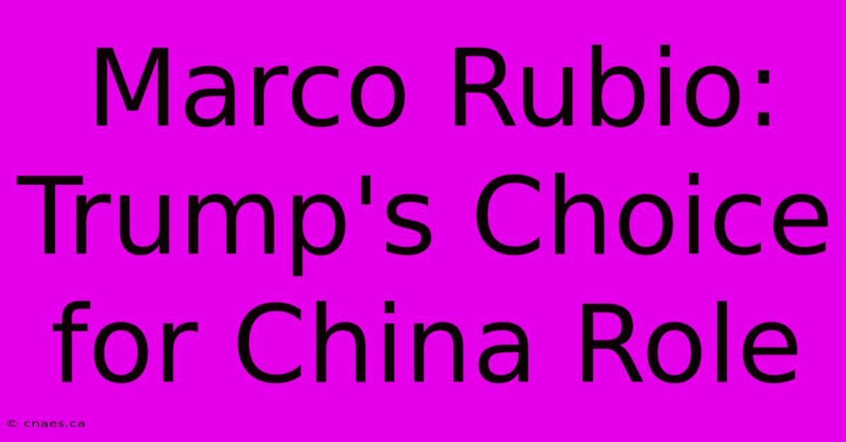 Marco Rubio: Trump's Choice For China Role