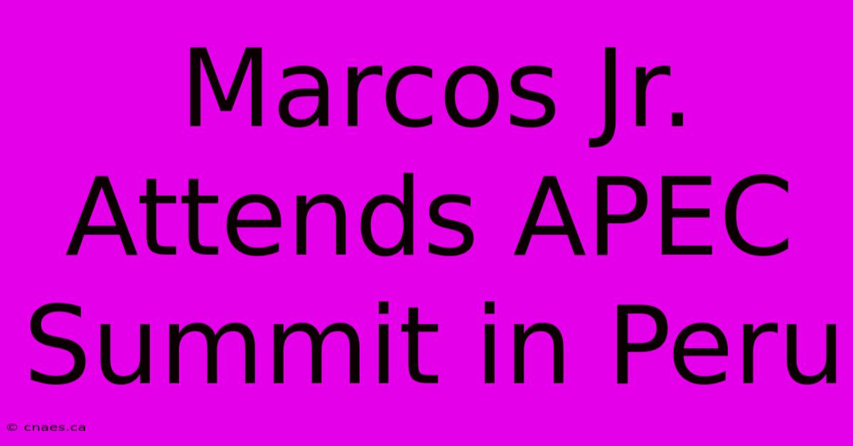 Marcos Jr. Attends APEC Summit In Peru