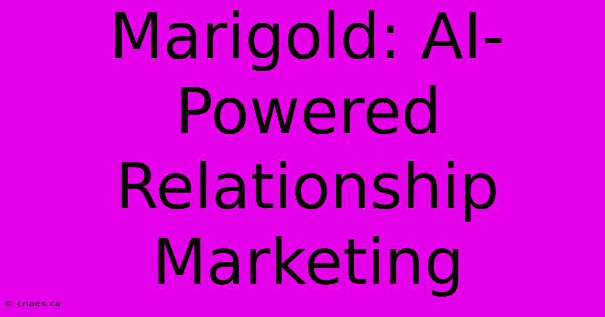 Marigold: AI-Powered Relationship Marketing