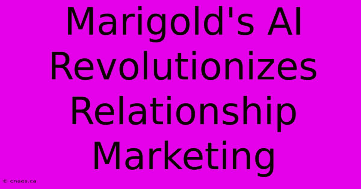 Marigold's AI Revolutionizes Relationship Marketing